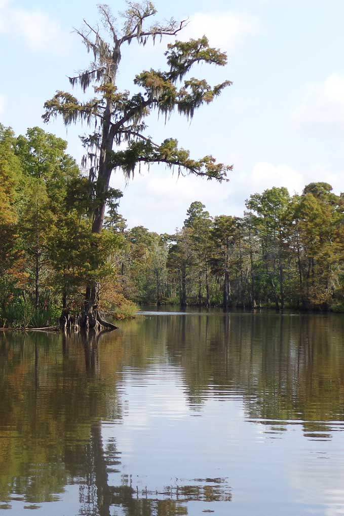 Neches River Adventures